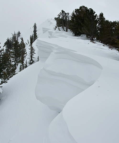 cornice line